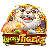 Live Dealer Casino at 8k8 4